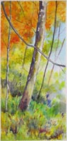 Spring Colour