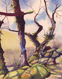 Wistman's Wood